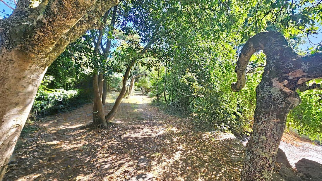 House in Piriac-sur-Mer, Pays de la Loire, France 3 - 18547252