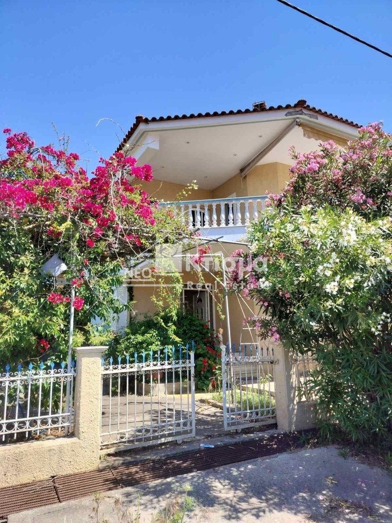 House in Katakolo Community, Peloponnese, Western Greece and the Ionian, Greece 4 - 18546995