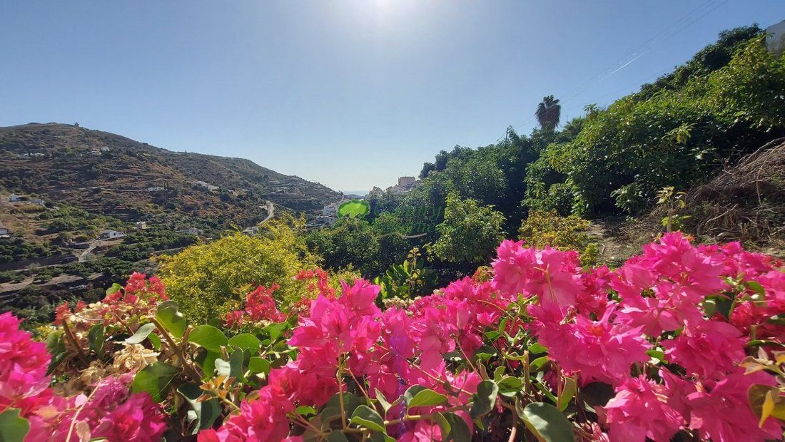 Casa di campagna a Torrox, Andalusia, Spagna 4 - 18547039