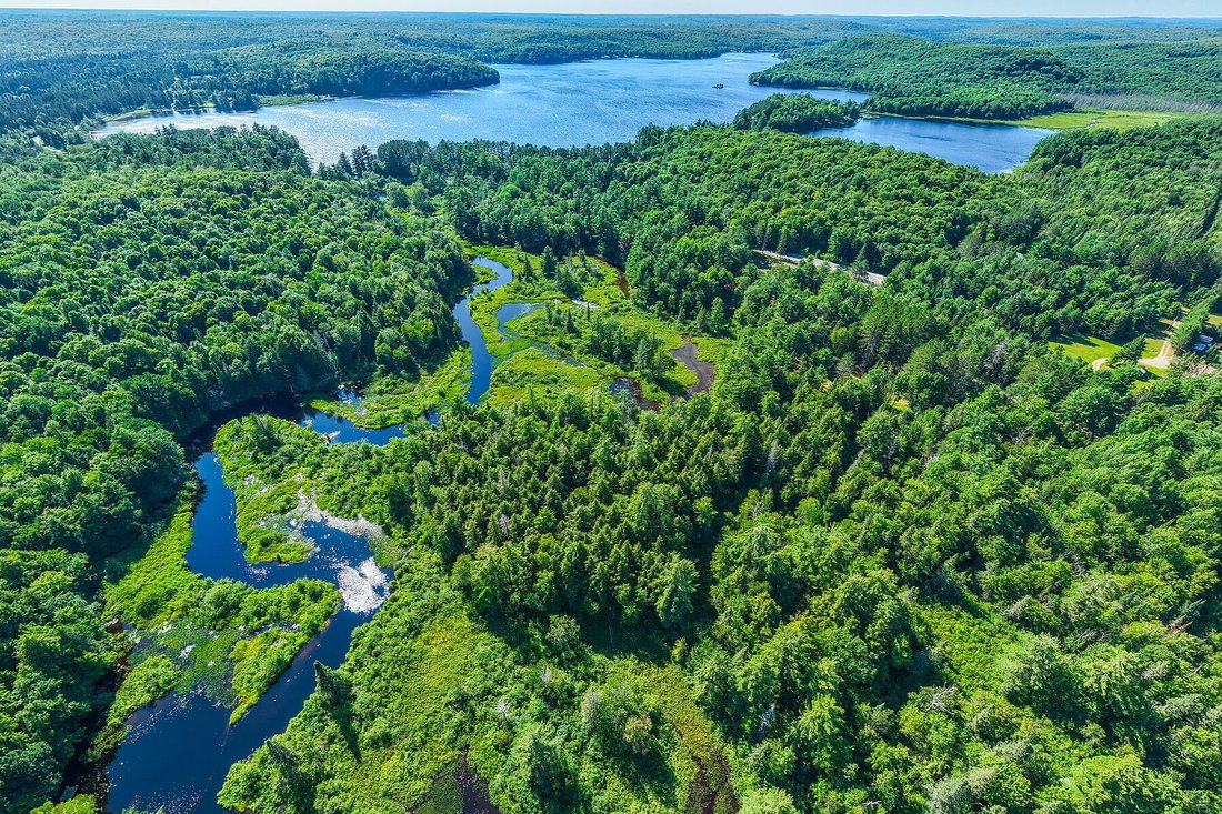 Land in Huntsville, Ontario, Canada 1 - 18547109