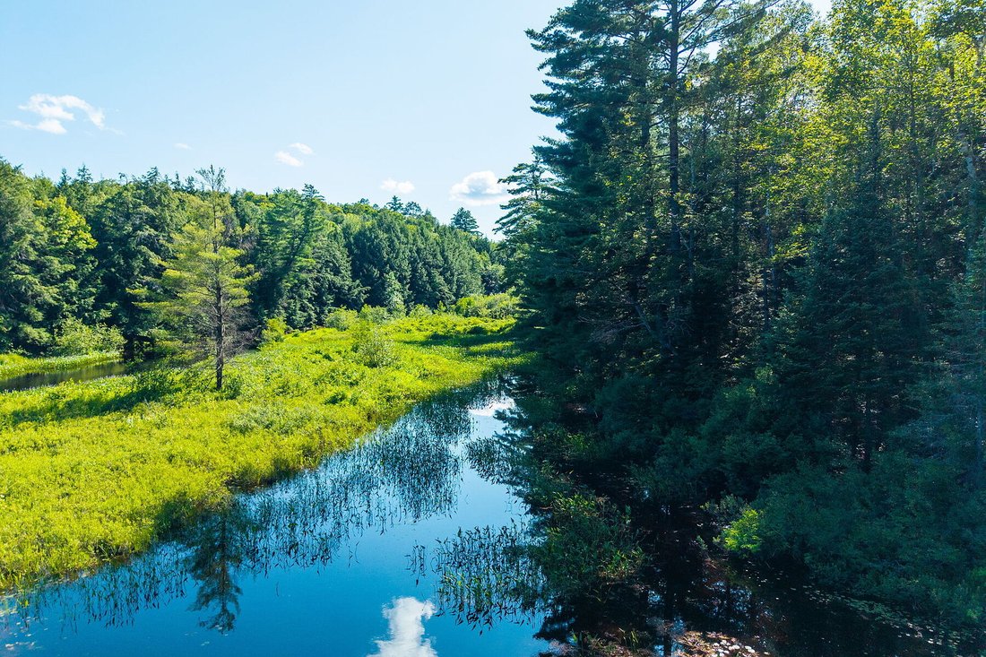 Land in Huntsville, Ontario, Canada 3 - 18547109