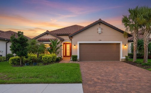 House in Odessa, Florida, United States 1