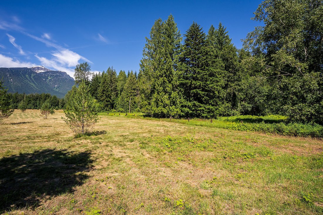 Land in Revelstoke, British Columbia, Canada 5 - 18547089