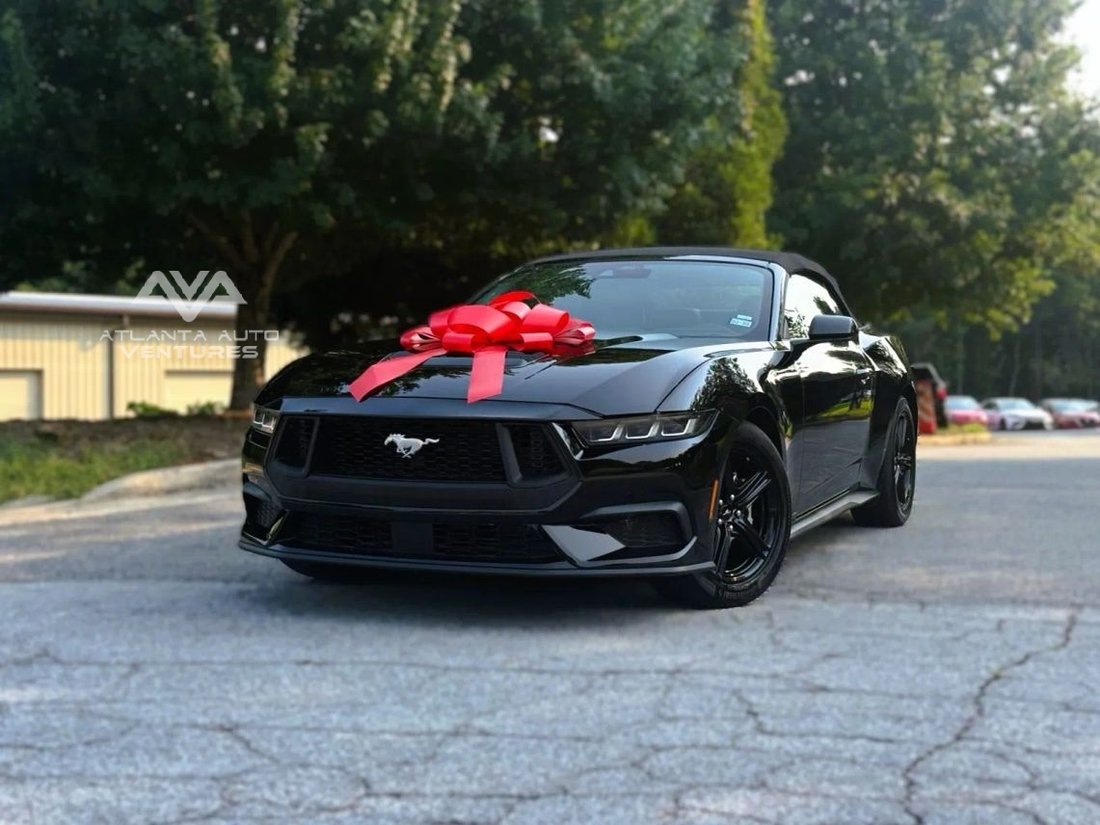 Cabriolet in Roswell, GA, United States 3 - 18507301