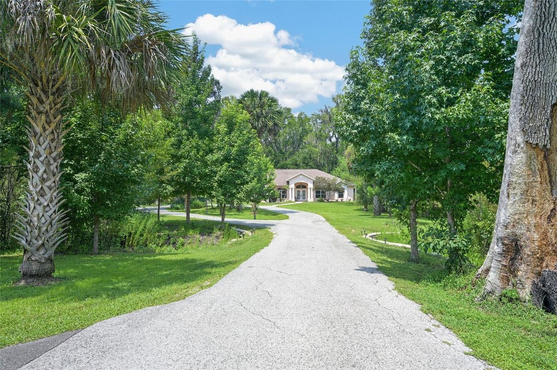 House in Reddick, Florida, United States 3 - 18547824