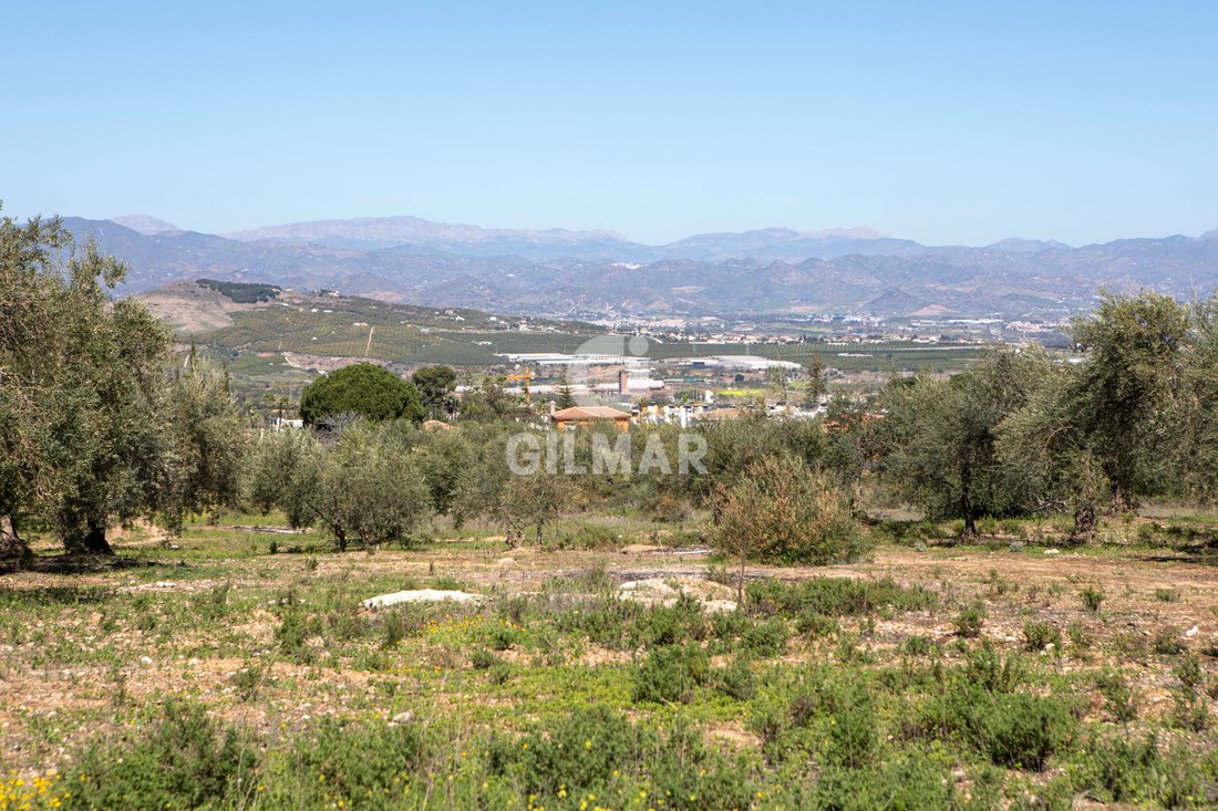 Alhaurin de la Torre, Andalusia, Spain 1 - 18547956