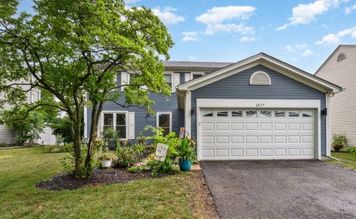 Casa en Elk Grove Village, Illinois, Estados Unidos 1