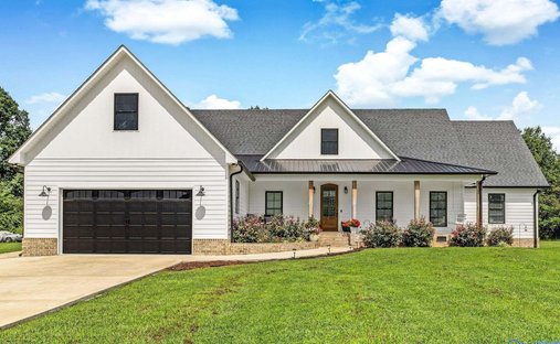 House in Albertville, Alabama, United States 1