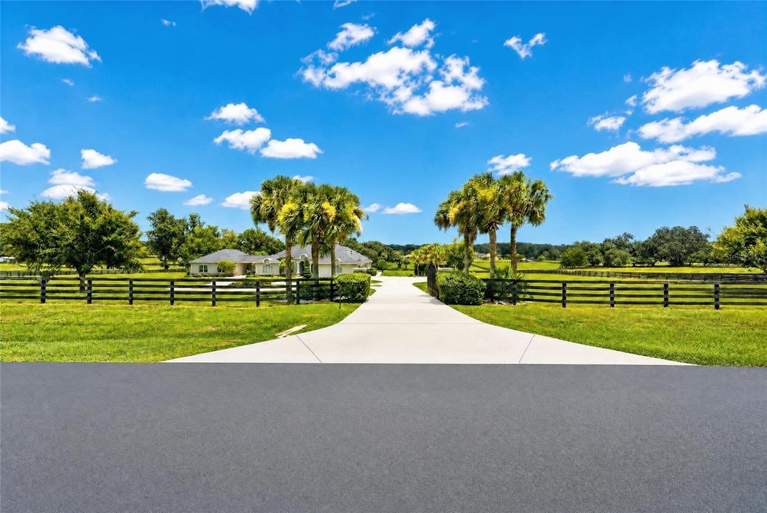 Land in Ocala, Florida, United States 4 - 17182788