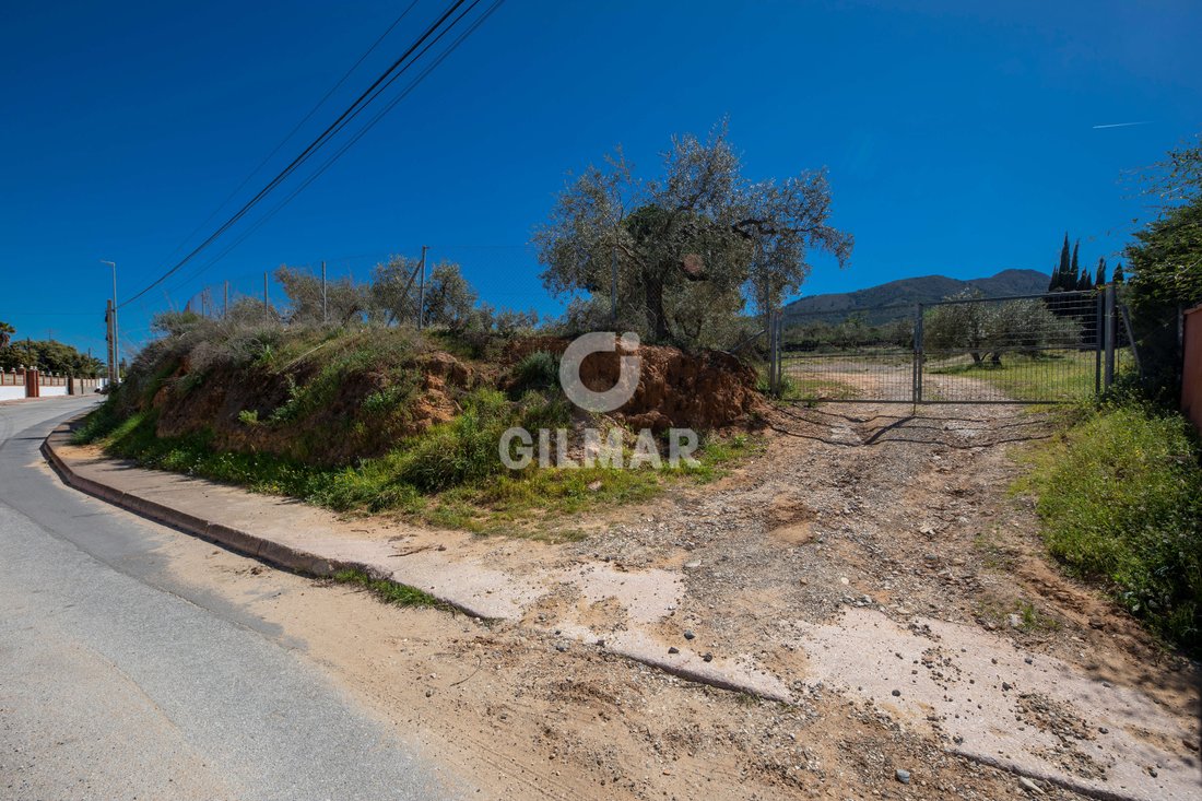 Alhaurin de la Torre, Andalusia, Spain 3 - 18547675