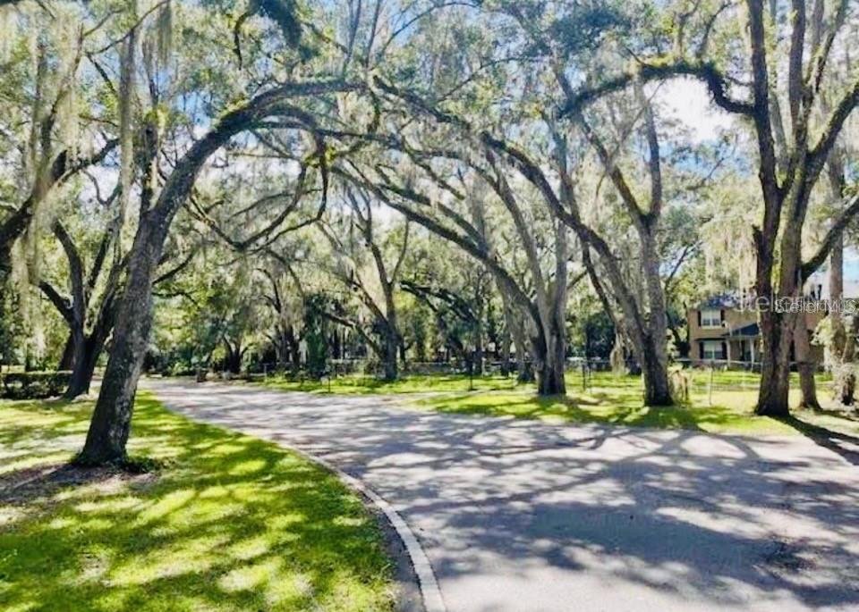 House in Kissimmee, Florida, United States 4 - 18547886