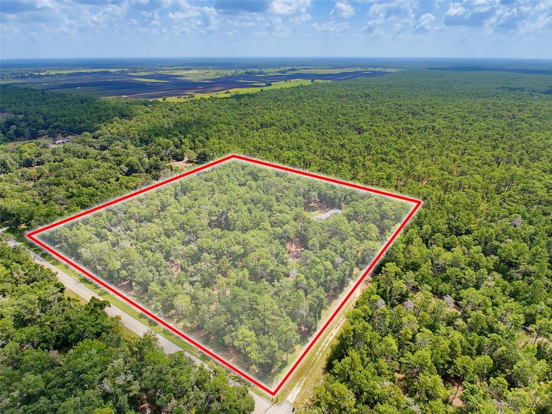 House in South Brooksville, Florida, United States 4 - 18547837