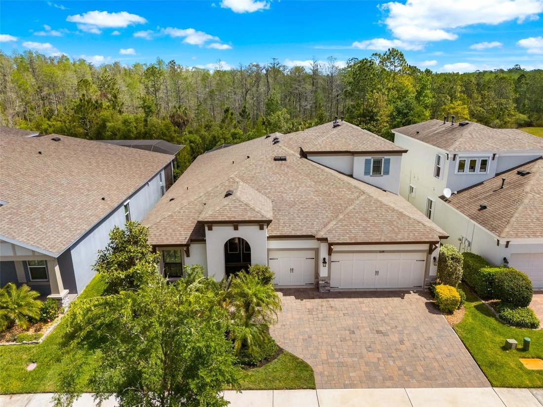 House in Land O' Lakes, Florida, United States 1 - 18547885