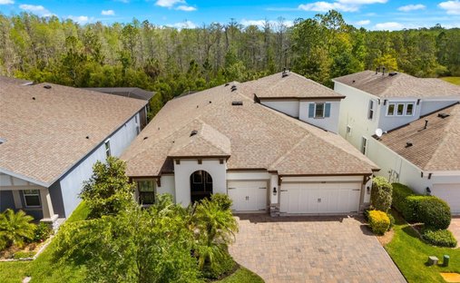 House in Land O' Lakes, Florida, United States 1