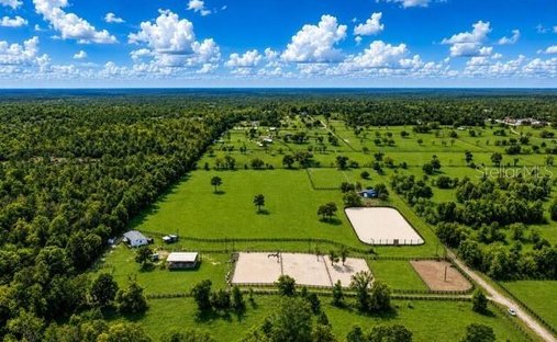 Land in Ocala, Florida, United States 1