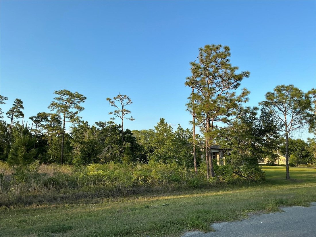 Casa a Orlando, Florida, Stati Uniti 4 - 18542600