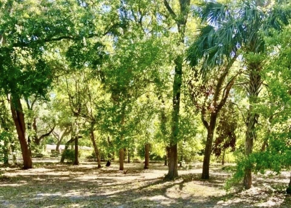 House in Kissimmee, Florida, United States 3 - 18547886