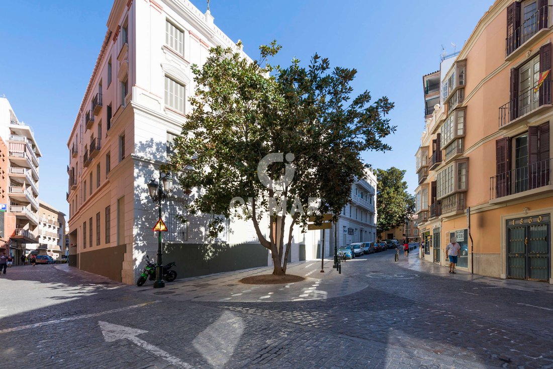 Apartment in Centro, Malaga, Spain 1 - 18548179