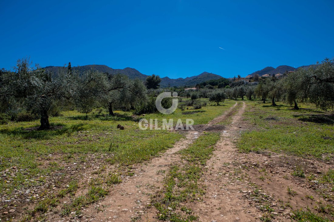 Alhaurin de la Torre, Andalusia, Spain 5 - 18547675