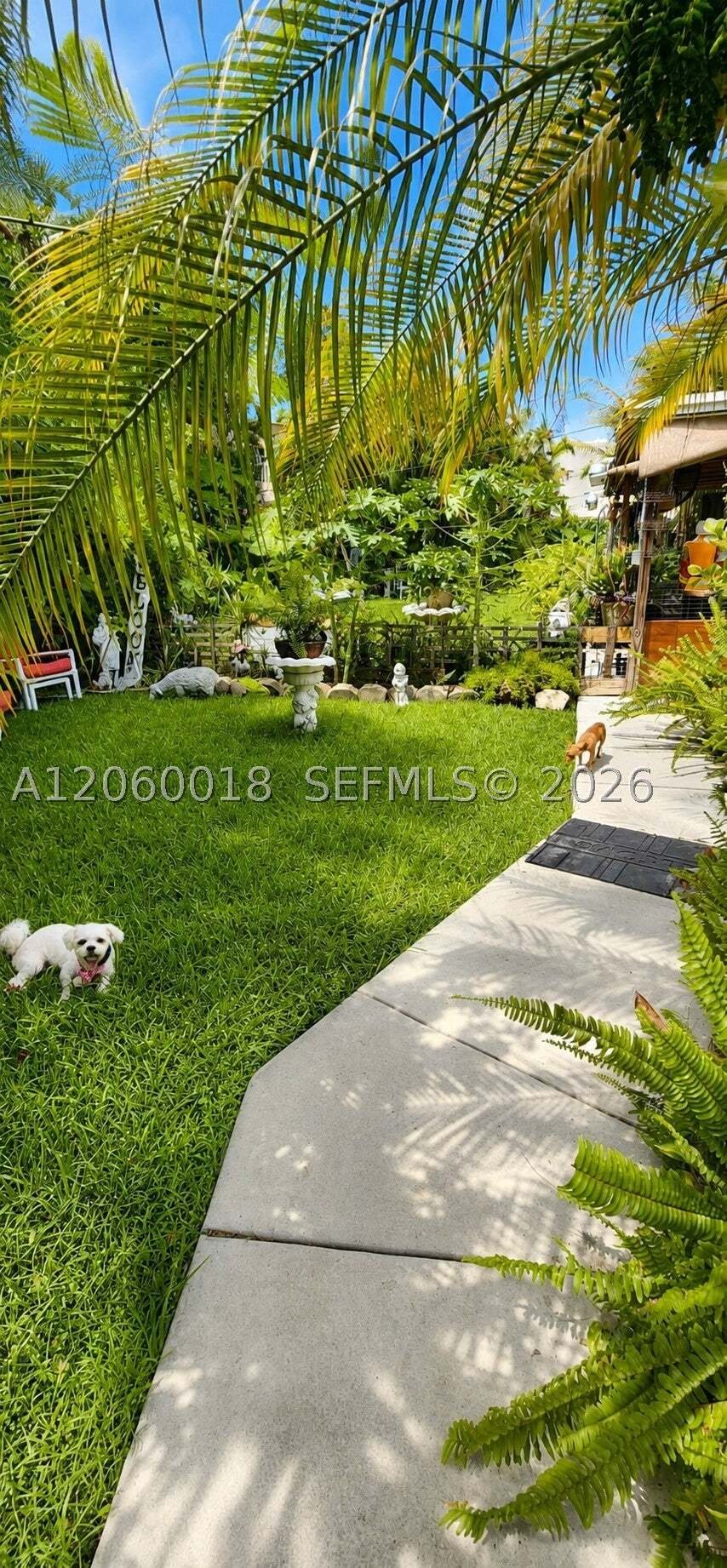 House in Miami, Florida, United States 3 - 18551897
