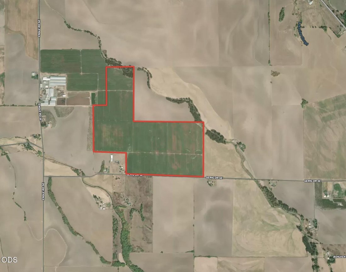 Farm Ranch in Albany, Oregon, United States 3 - 18552245