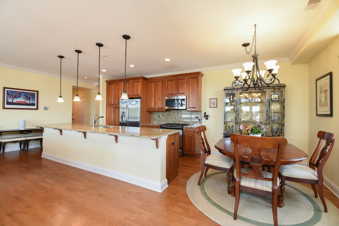 Condo in Park Ridge, Illinois, United States 3 - 18552224