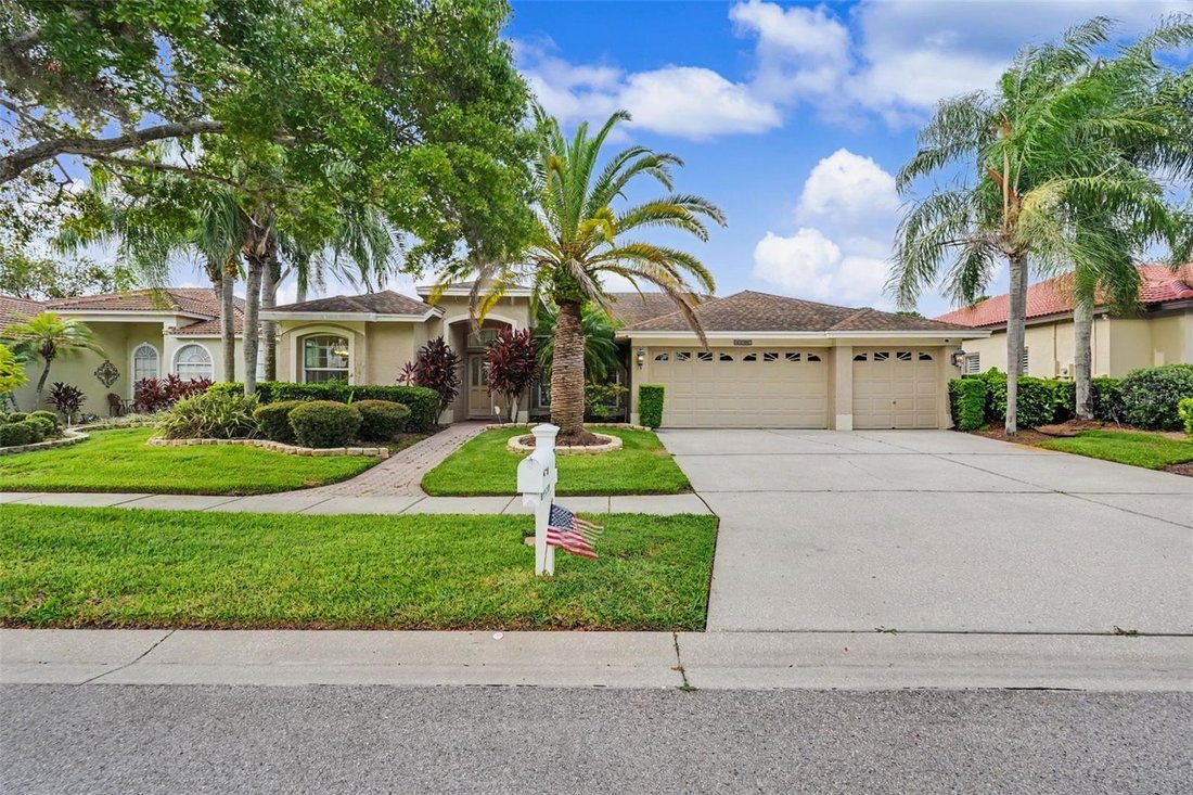 House in Odessa, Florida, United States 1 - 18551541