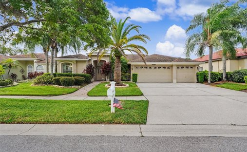House in Odessa, Florida, United States 1