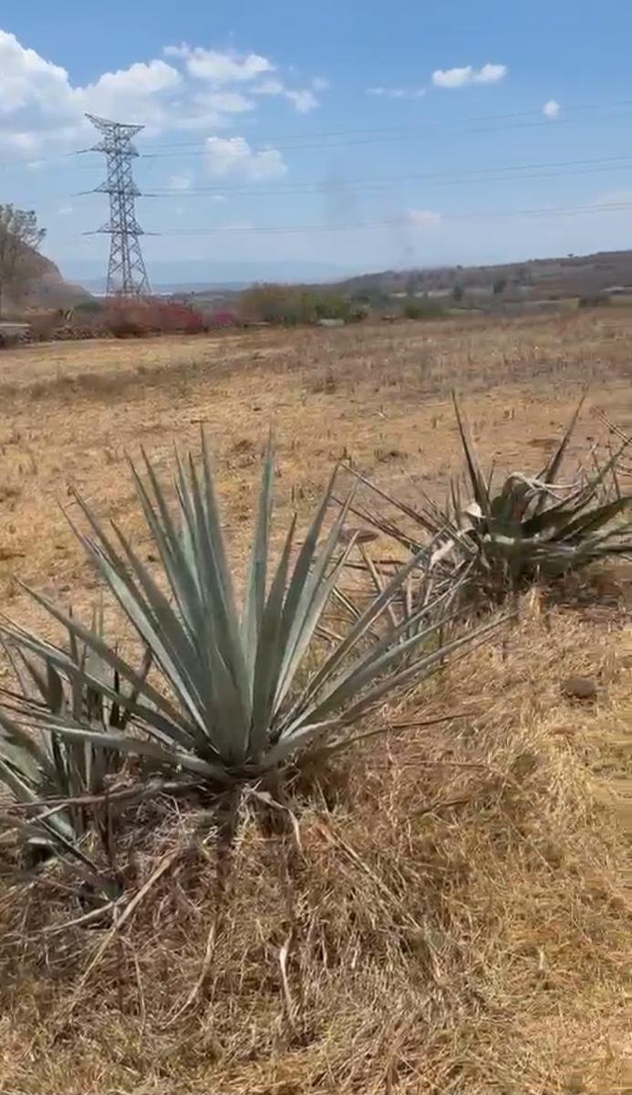 Land in Tlajomulco de Zúñiga, Jalisco, Mexico 3 - 18550577