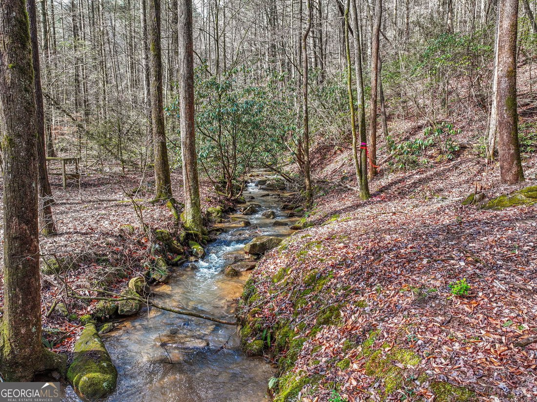 House in Ellijay, Georgia, United States 2 - 18548826