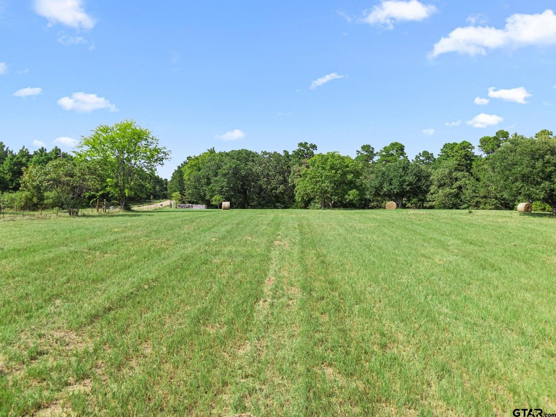 House in Holly Lake Ranch, Texas, United States 5 - 18552222