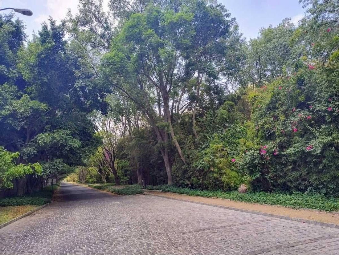 Land in Zapopan, Jalisco, Mexico 4 - 18550547