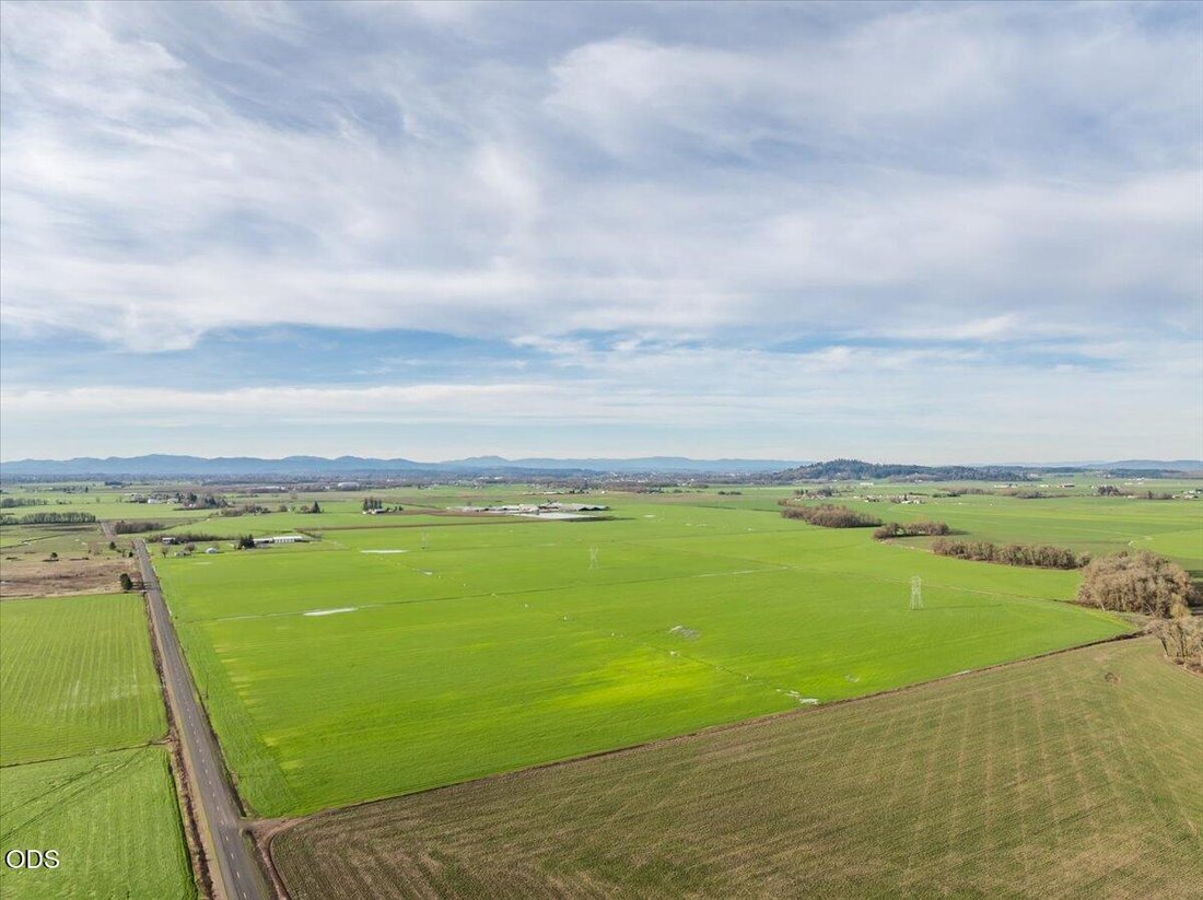 Farm Ranch in Albany, Oregon, United States 4 - 18552245
