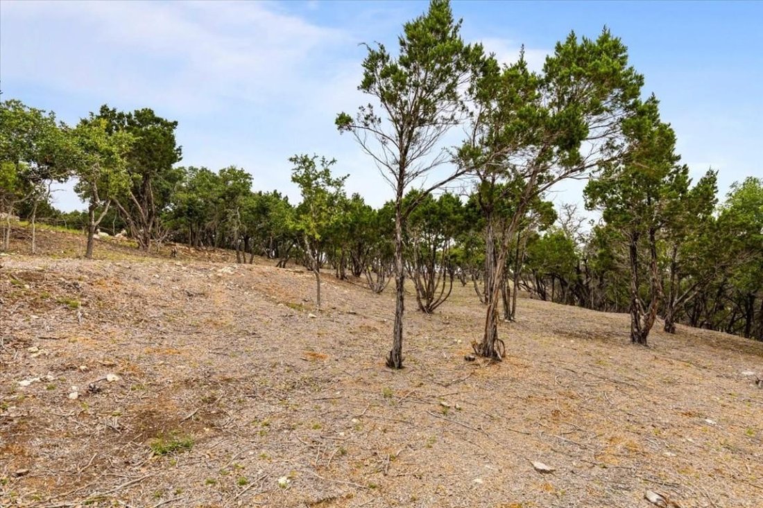 Spicewood, Texas, United States 4 - 18551783