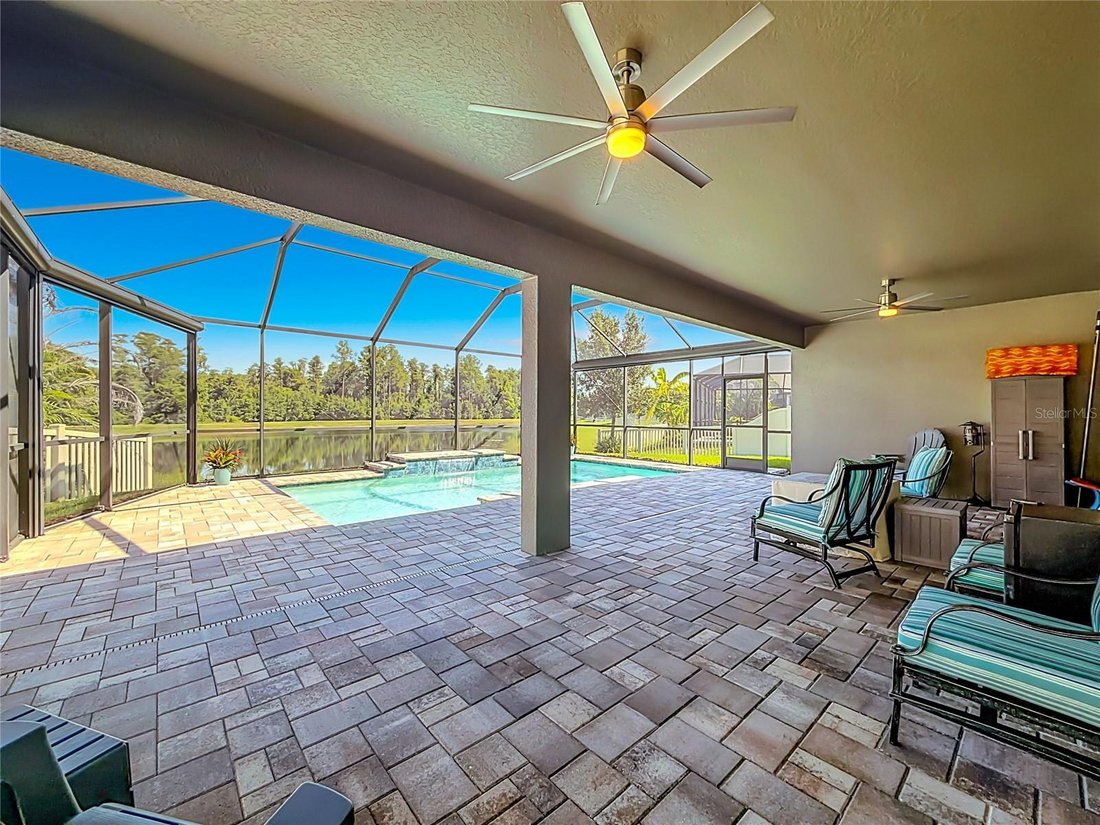 House in Land O' Lakes, Florida, United States 5 - 18551497