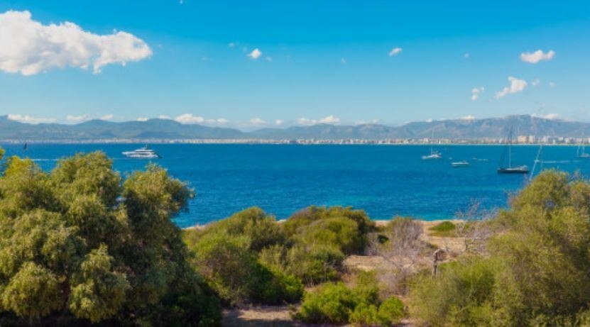 Attico a Llucmajor, Isole Baleari, Spagna 1 - 18549596