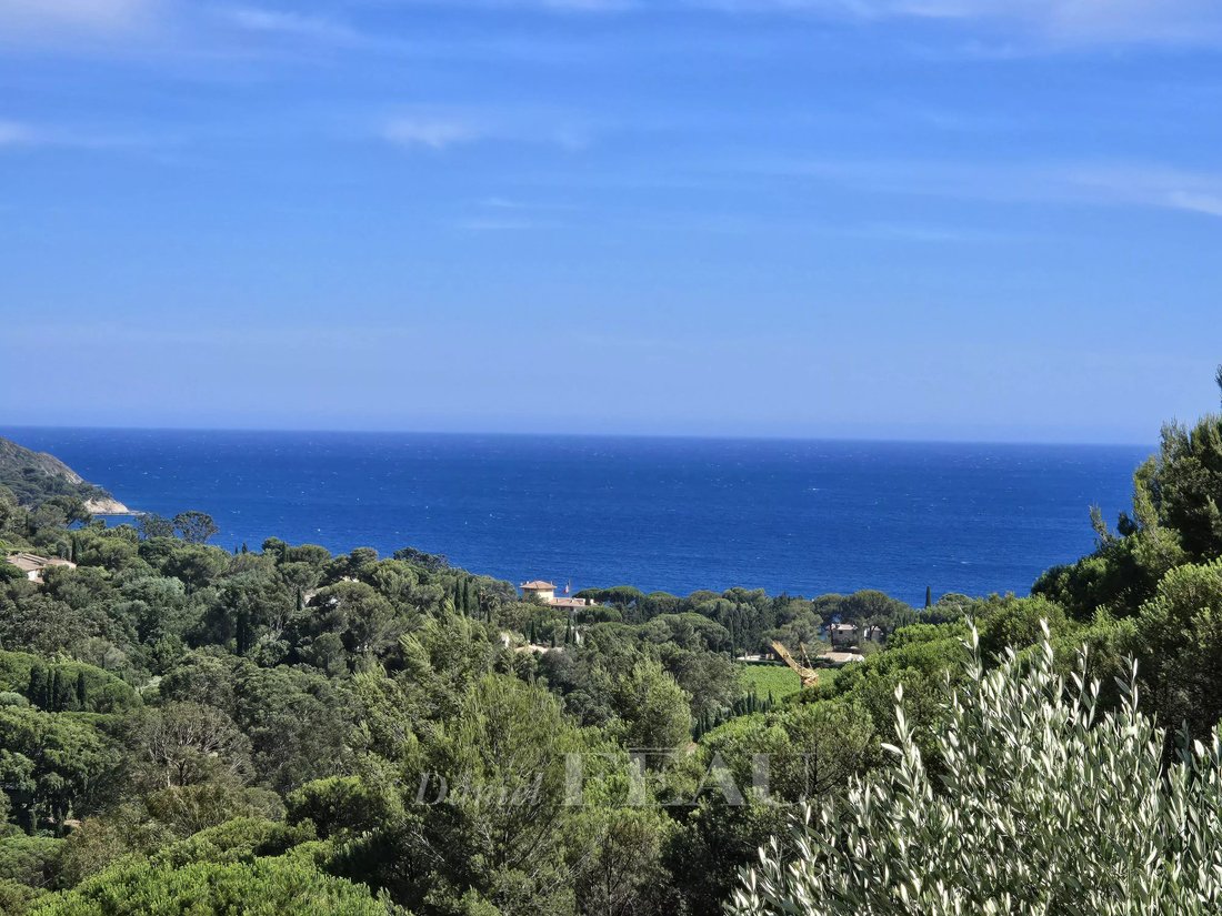 Estate in La Croix-Valmer, Provence-Alpes-Côte d'Azur, France 1 - 18549292