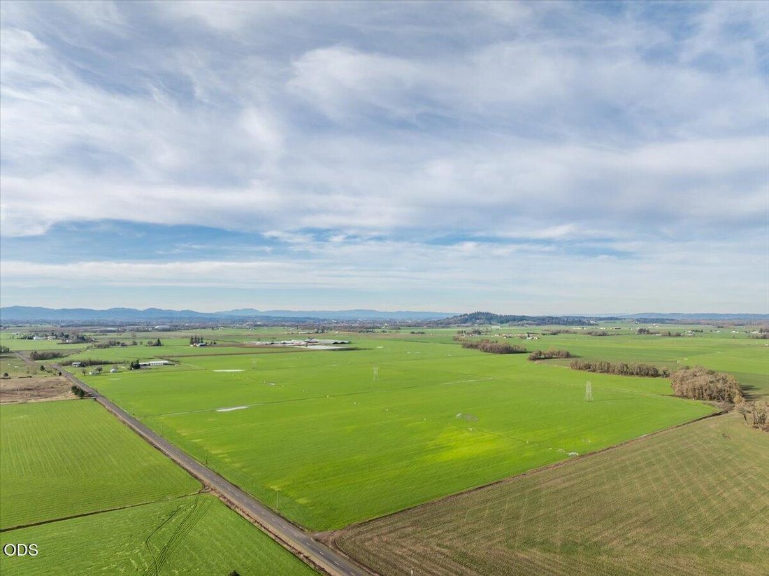 Farm Ranch in Albany, Oregon, United States 2 - 18552245