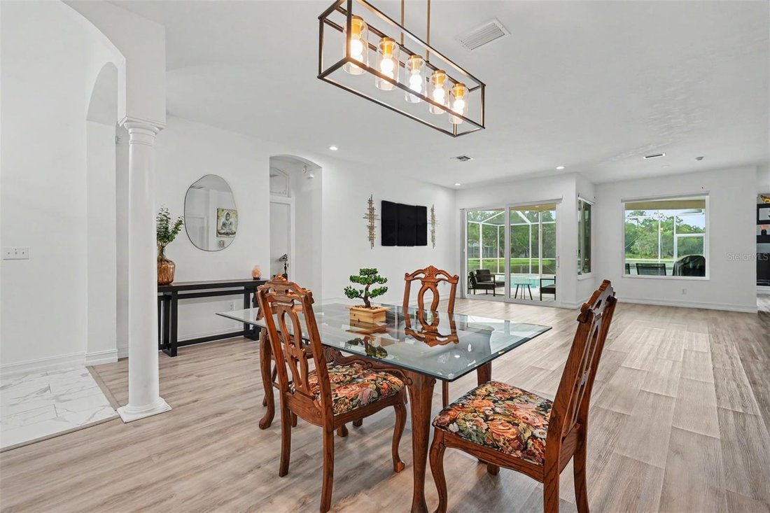 House in Odessa, Florida, United States 5 - 18551541