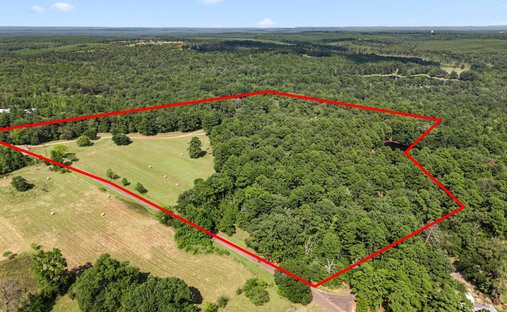 Azienda agricola a Holly Lake Ranch, Texas, Stati Uniti 1