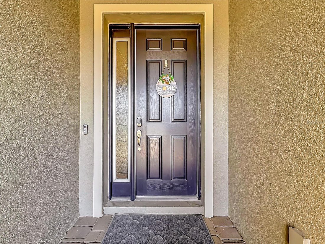 Casa a Land O' Lakes, Florida, Stati Uniti 2 - 18551497