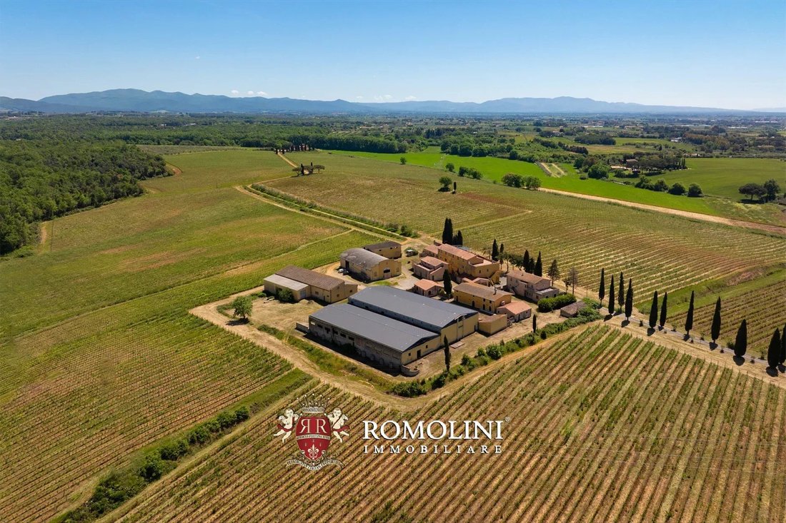 Estate in Montescudaio, Tuscany, Italy 1 - 18541332