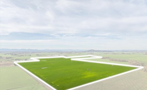 Farm Ranch in Albany, Oregon, United States 1