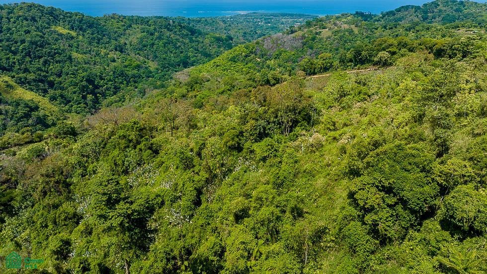 Land in Savegre de Aguirre, Puntarenas Province, Costa Rica 5 - 17804563