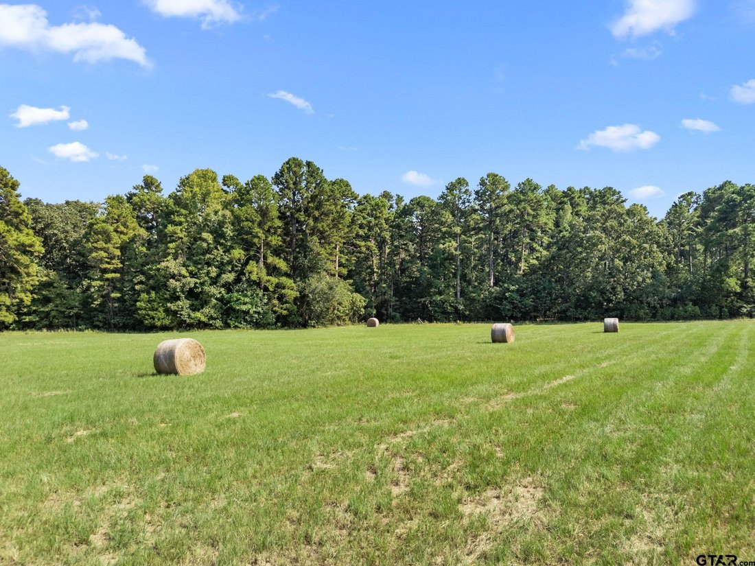 House in Holly Lake Ranch, Texas, United States 4 - 18552222
