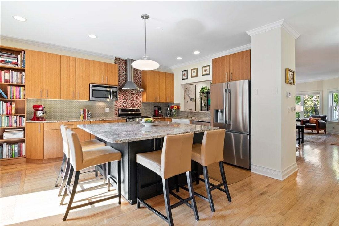 Condo in Chicago, Illinois, United States 4 - 18552658