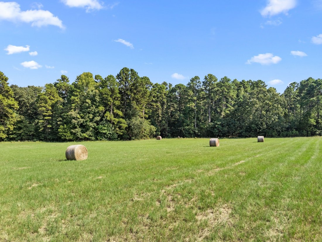 Farm Ranch in Holly Lake Ranch, Texas, United States 4 - 18552244