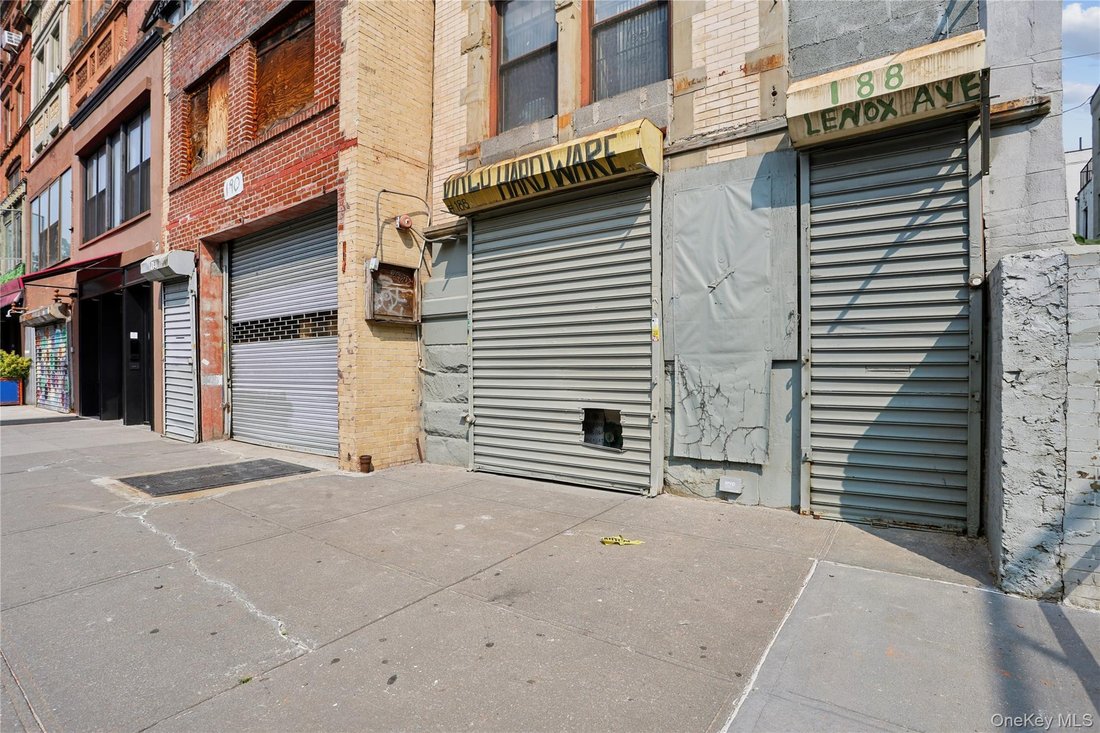New York, New York, United States 3 - 18551177