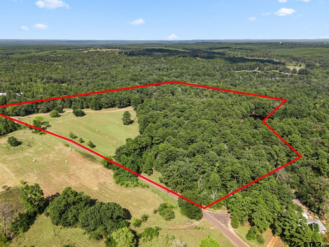 House in Holly Lake Ranch, Texas, United States 1 - 18552222