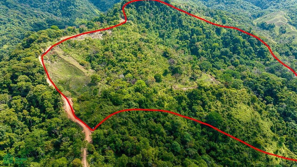 Land in Savegre de Aguirre, Puntarenas Province, Costa Rica 4 - 17804563